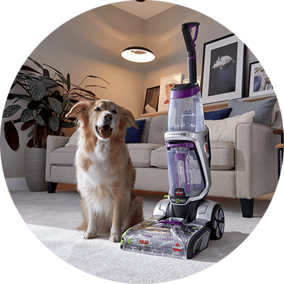 Bissell Carpet Cleaner Pet Models